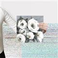 Picture of Full Bloom I _GroupedProduct_Square_Canvas_