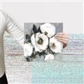 Picture of Full Bloom II _GroupedProduct_Square_Canvas_