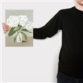 Picture of White Hydranga _GroupedProduct_Rectangle_Portrait_Canvas_