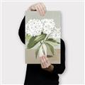 Picture of White Hydranga _GroupedProduct_Rectangle_Portrait_Canvas_