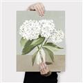 Picture of White Hydranga _GroupedProduct_Rectangle_Portrait_Canvas_