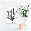 Picture of Spring Magnolia Blossoms _GroupedProduct_Rectangle_Portrait_Canvas_