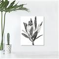 Picture of Spring Magnolia Blossoms _GroupedProduct_Rectangle_Portrait_Canvas_