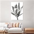 Picture of Spring Magnolia Blossoms _GroupedProduct_Rectangle_Portrait_Canvas_