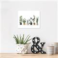 Picture of Pots with plants _GroupedProduct_Rectangle_Landscape_Canvas_