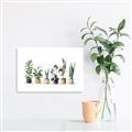 Picture of Pots with plants _GroupedProduct_Rectangle_Landscape_Canvas_