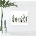Picture of Pots with plants _GroupedProduct_Rectangle_Landscape_Canvas_