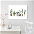 Picture of Pots with plants _GroupedProduct_Rectangle_Landscape_Canvas_