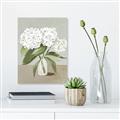 Picture of White Hydranga _GroupedProduct_Rectangle_Portrait_Canvas_