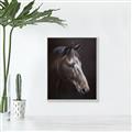 Picture of Hugo  _GroupedProduct_Rectangle_Portrait_Canvas_Framed_