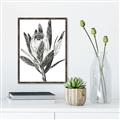 Picture of Spring Magnolia Blossoms _GroupedProduct_Rectangle_Portrait_Canvas_Framed_