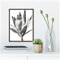 Picture of Spring Magnolia Blossoms _GroupedProduct_Rectangle_Portrait_Canvas_Framed_