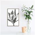 Picture of Spring Magnolia Blossoms _GroupedProduct_Rectangle_Portrait_Canvas_Framed_