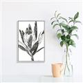 Picture of Spring Magnolia Blossoms _GroupedProduct_Rectangle_Portrait_Canvas_Framed_