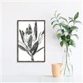 Picture of Spring Magnolia Blossoms _GroupedProduct_Rectangle_Portrait_Canvas_Framed_
