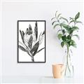 Picture of Spring Magnolia Blossoms _GroupedProduct_Rectangle_Portrait_Canvas_Framed_