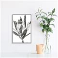 Picture of Spring Magnolia Blossoms _GroupedProduct_Rectangle_Portrait_Canvas_Framed_