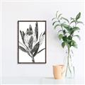 Picture of Spring Magnolia Blossoms _GroupedProduct_Rectangle_Portrait_Canvas_Framed_