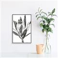 Picture of Spring Magnolia Blossoms _GroupedProduct_Rectangle_Portrait_Canvas_Framed_
