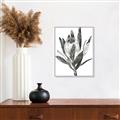 Picture of Spring Magnolia Blossoms _GroupedProduct_Rectangle_Portrait_Canvas_Framed_