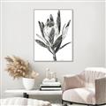 Picture of Spring Magnolia Blossoms _GroupedProduct_Rectangle_Portrait_Canvas_Framed_