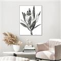 Picture of Spring Magnolia Blossoms _GroupedProduct_Rectangle_Portrait_Canvas_Framed_