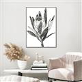Picture of Spring Magnolia Blossoms _GroupedProduct_Rectangle_Portrait_Canvas_Framed_