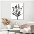 Picture of Spring Magnolia Blossoms _GroupedProduct_Rectangle_Portrait_Canvas_Framed_