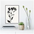 Picture of Black flower II (Ink border black ) _GroupedProduct_Rectangle_Portrait_Canvas_Framed_