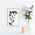 Picture of Black flower II (Ink border black ) _GroupedProduct_Rectangle_Portrait_Canvas_Framed_