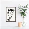 Picture of Black flower II (Ink border black ) _GroupedProduct_Rectangle_Portrait_Canvas_Framed_