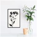 Picture of Black flower II (Ink border black ) _GroupedProduct_Rectangle_Portrait_Canvas_Framed_