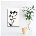 Picture of Black flower II (Ink border black ) _GroupedProduct_Rectangle_Portrait_Canvas_Framed_
