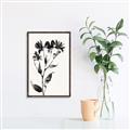 Picture of Black flower II (Ink border black ) _GroupedProduct_Rectangle_Portrait_Canvas_Framed_