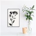 Picture of Black flower II (Ink border black ) _GroupedProduct_Rectangle_Portrait_Canvas_Framed_