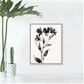 Picture of Black flower II (Ink border black ) _GroupedProduct_Rectangle_Portrait_Canvas_Framed_