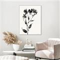 Picture of Black flower II (Ink border black ) _GroupedProduct_Rectangle_Portrait_Canvas_Framed_