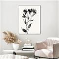 Picture of Black flower II (Ink border black ) _GroupedProduct_Rectangle_Portrait_Canvas_Framed_