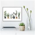 Picture of Pots with plants _GroupedProduct_Rectangle_Landscape_Canvas_Framed_