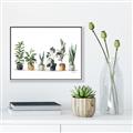 Picture of Pots with plants _GroupedProduct_Rectangle_Landscape_Canvas_Framed_