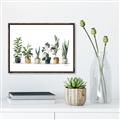 Picture of Pots with plants _GroupedProduct_Rectangle_Landscape_Canvas_Framed_