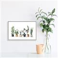 Picture of Pots with plants _GroupedProduct_Rectangle_Landscape_Canvas_Framed_