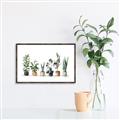 Picture of Pots with plants _GroupedProduct_Rectangle_Landscape_Canvas_Framed_