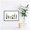 Picture of Pots with plants _GroupedProduct_Rectangle_Landscape_Canvas_Framed_