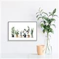 Picture of Pots with plants _GroupedProduct_Rectangle_Landscape_Canvas_Framed_