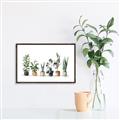 Picture of Pots with plants _GroupedProduct_Rectangle_Landscape_Canvas_Framed_