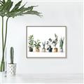 Picture of Pots with plants _GroupedProduct_Rectangle_Landscape_Canvas_Framed_
