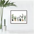 Picture of Pots with plants _GroupedProduct_Rectangle_Landscape_Canvas_Framed_