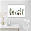 Picture of Pots with plants _GroupedProduct_Rectangle_Landscape_Canvas_Framed_