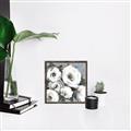 Picture of Full Bloom I _GroupedProduct_Square_Canvas_Framed_